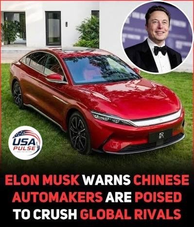 Hyundai CEO Warns Chinese Cars Could Rapidly Flood U.S. Market Without Trade Barriers