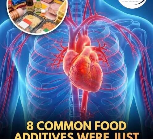 8 Common Food Preservatives Linked to Higher Blood Pressure and Heart Risk in Major Study