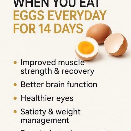 What Really Happens to Your Body When You Eat Eggs Every Day?