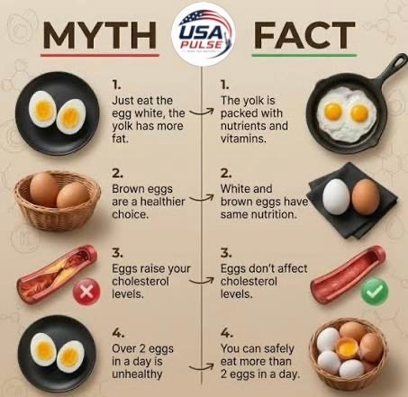 What Really Happens When You Eat Eggs Every Day? Here’s What Nutrition Research Says